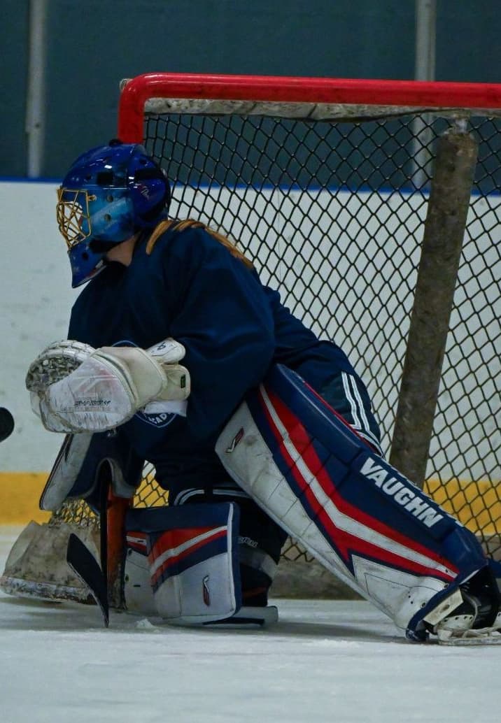 The profile indicates that academic & athletic stats and budget are important elements. A graphic displays a male baseball player's recruiting profile.
